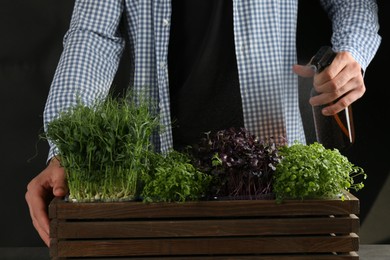 Photo of Man spraying different fresh microgreens in wooden crate on black background, closeup