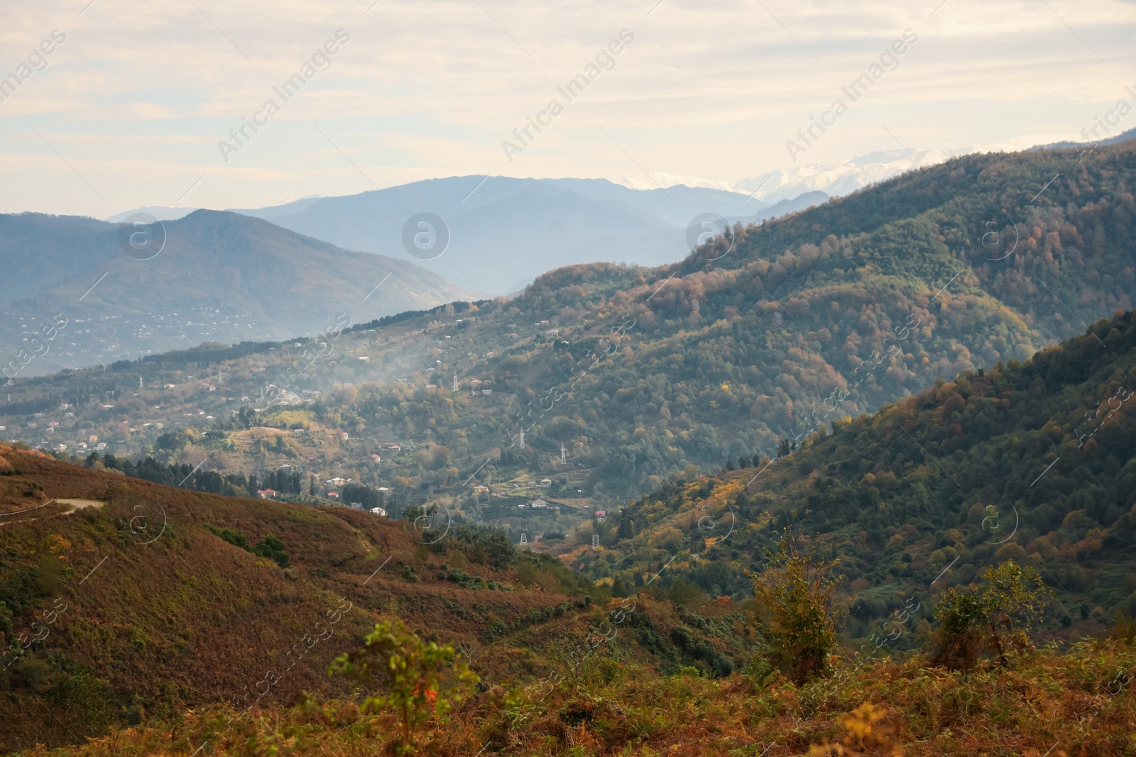 Photo of Picturesque view of beautiful valley with houses in mountains