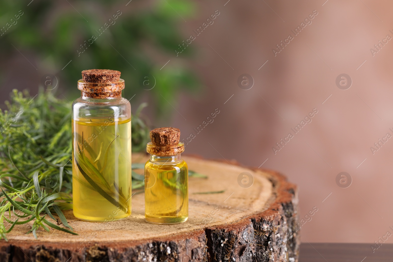 Photo of Bottles of essential oil and fresh tarragon leaves on wooden stump. Space for text