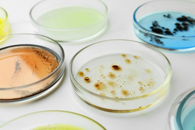 Photo of Petri dishes with different bacteria colonies on white background, closeup