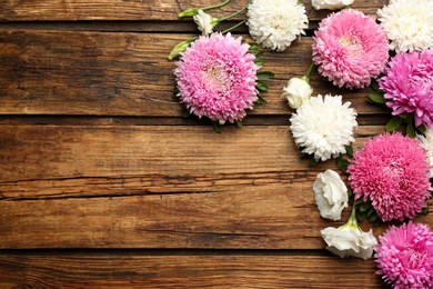 Photo of Beautiful asters and space for text on wooden background, flat lay. Autumn flowers