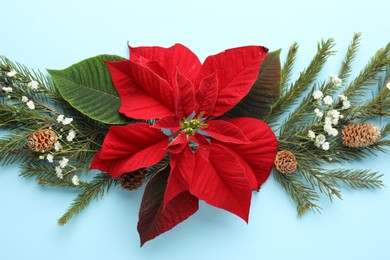 Photo of Flat lay composition with beautiful poinsettia on light cyan background. Christmas traditional flower