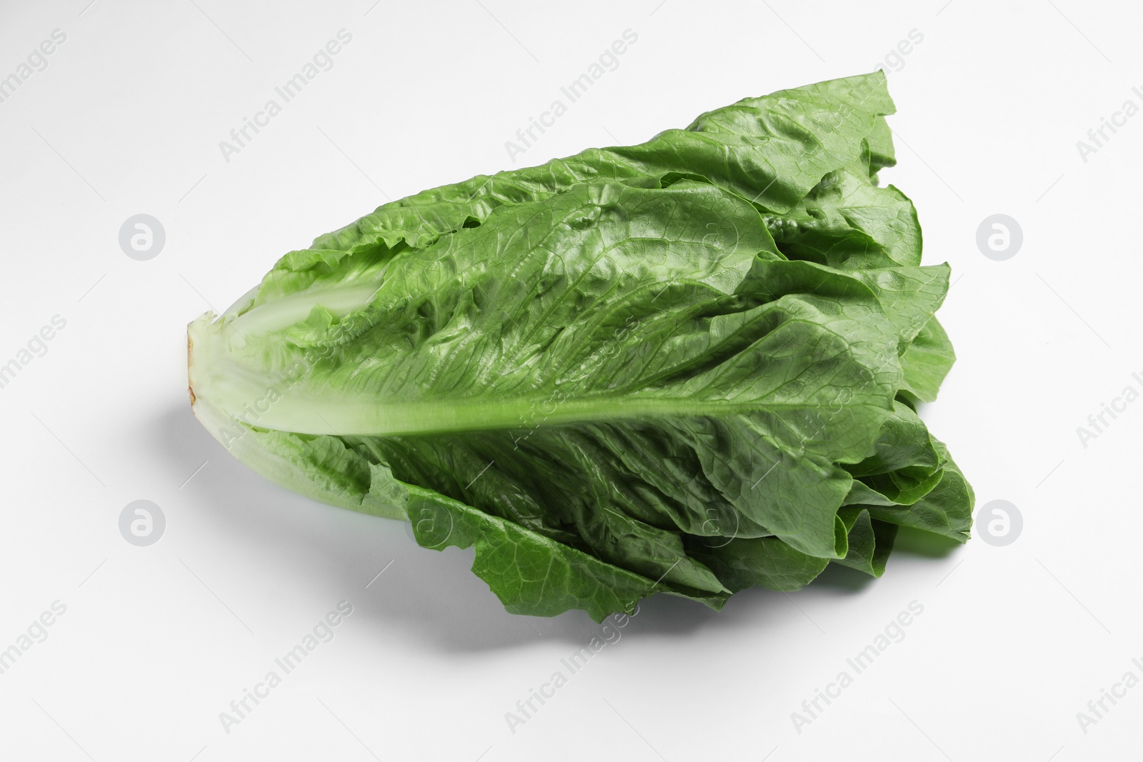 Photo of Fresh green romaine lettuce on white background