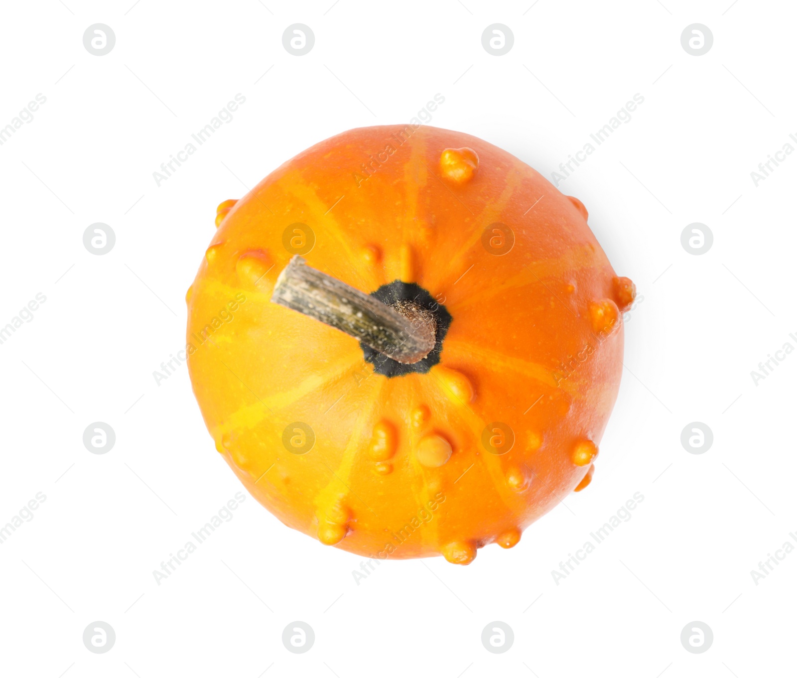 Photo of One orange pumpkin isolated on white, top view