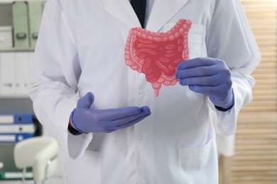 Photo of Doctor showing paper intestine cutout in clinic, closeup