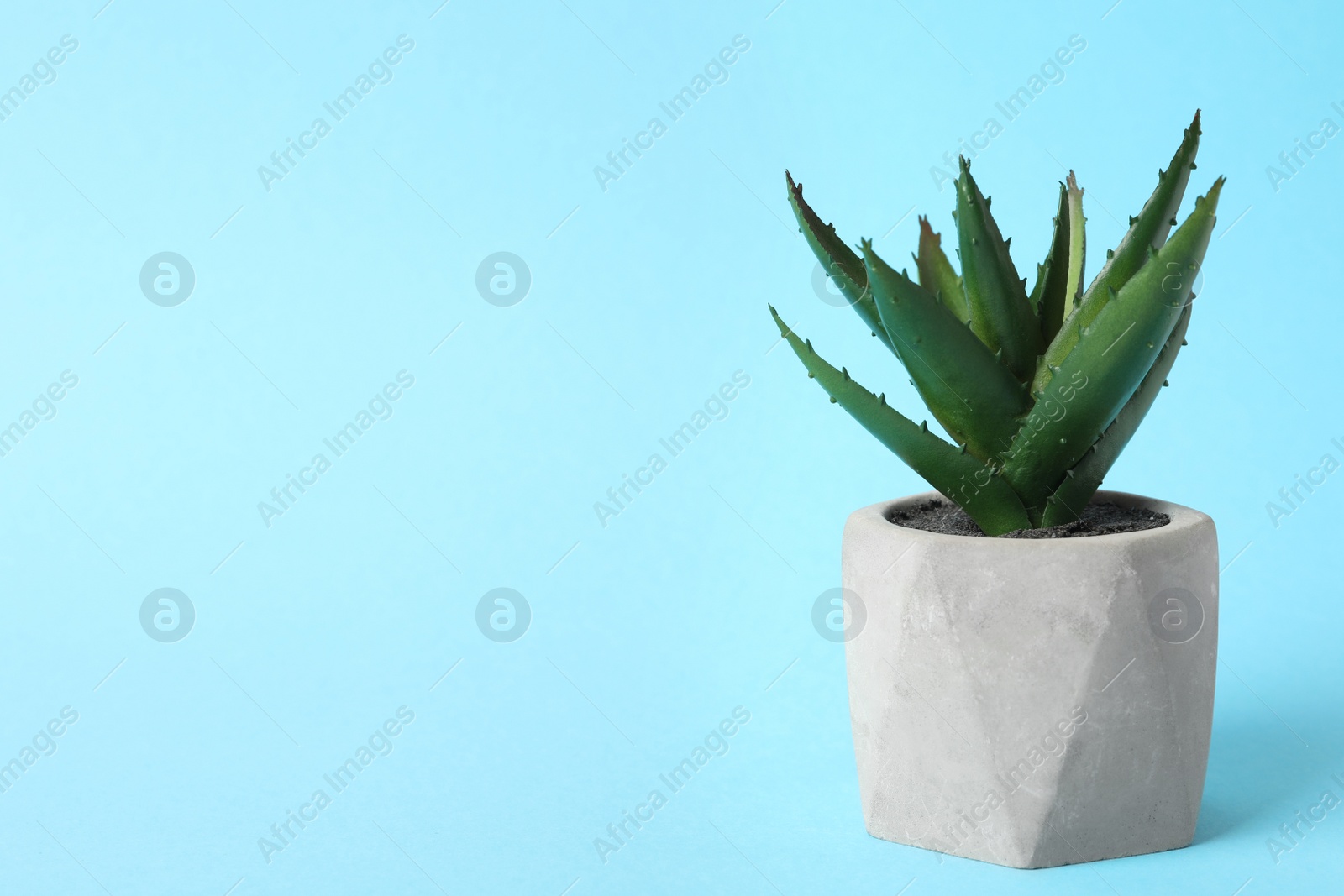 Photo of Beautiful artificial plant in flower pot on light blue background, space for text