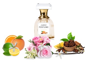 Bottle of perfume, flowers and spices on white background