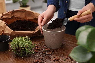 Woman filling flowerpot with soil at wooden table indoors, closeup. Transplanting houseplants