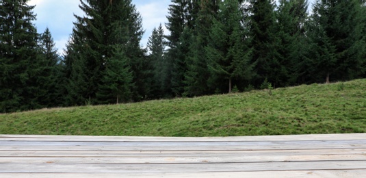 Empty wooden table and beautiful conifer forest on background