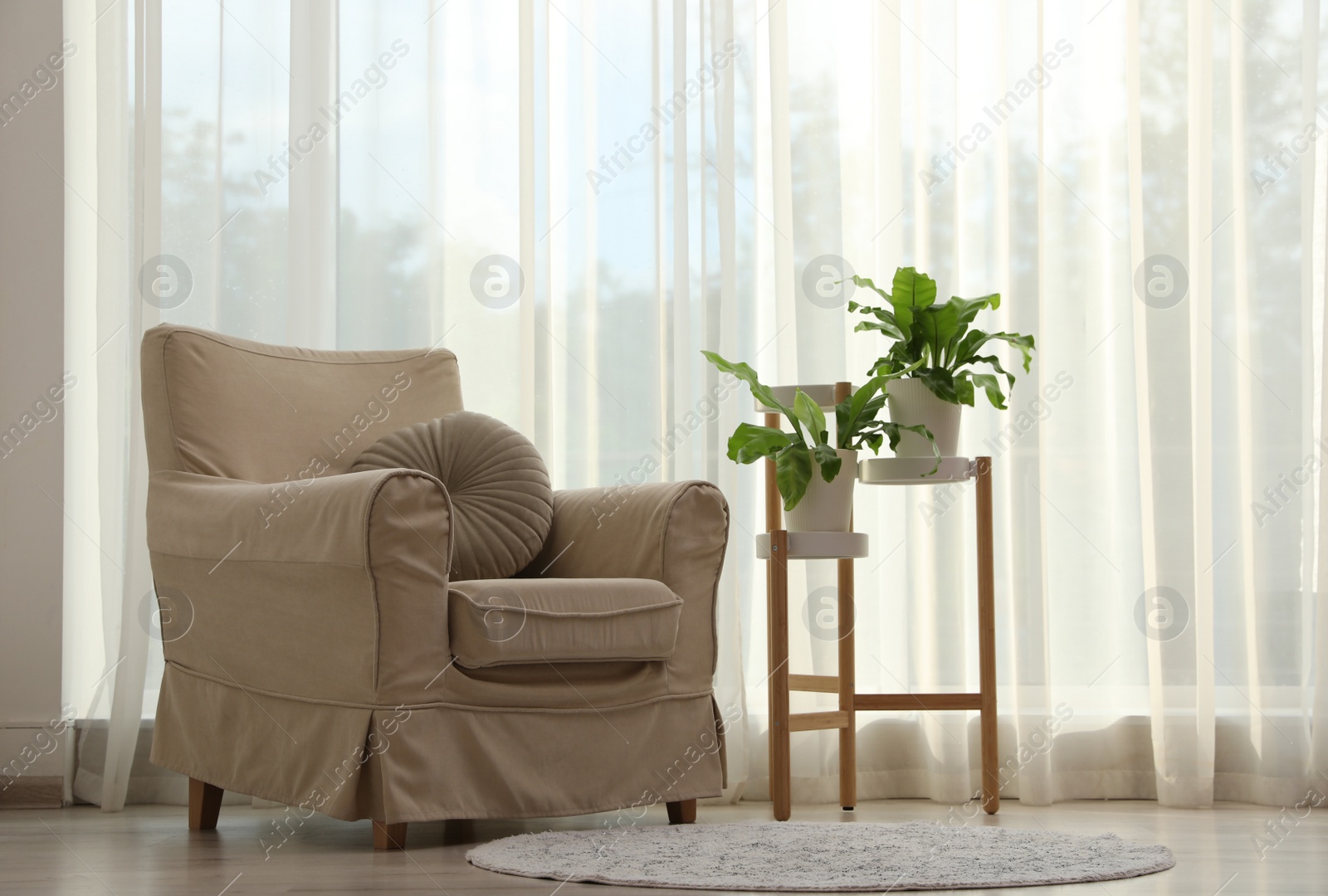 Photo of Comfortable armchair and beautiful plants near window indoors