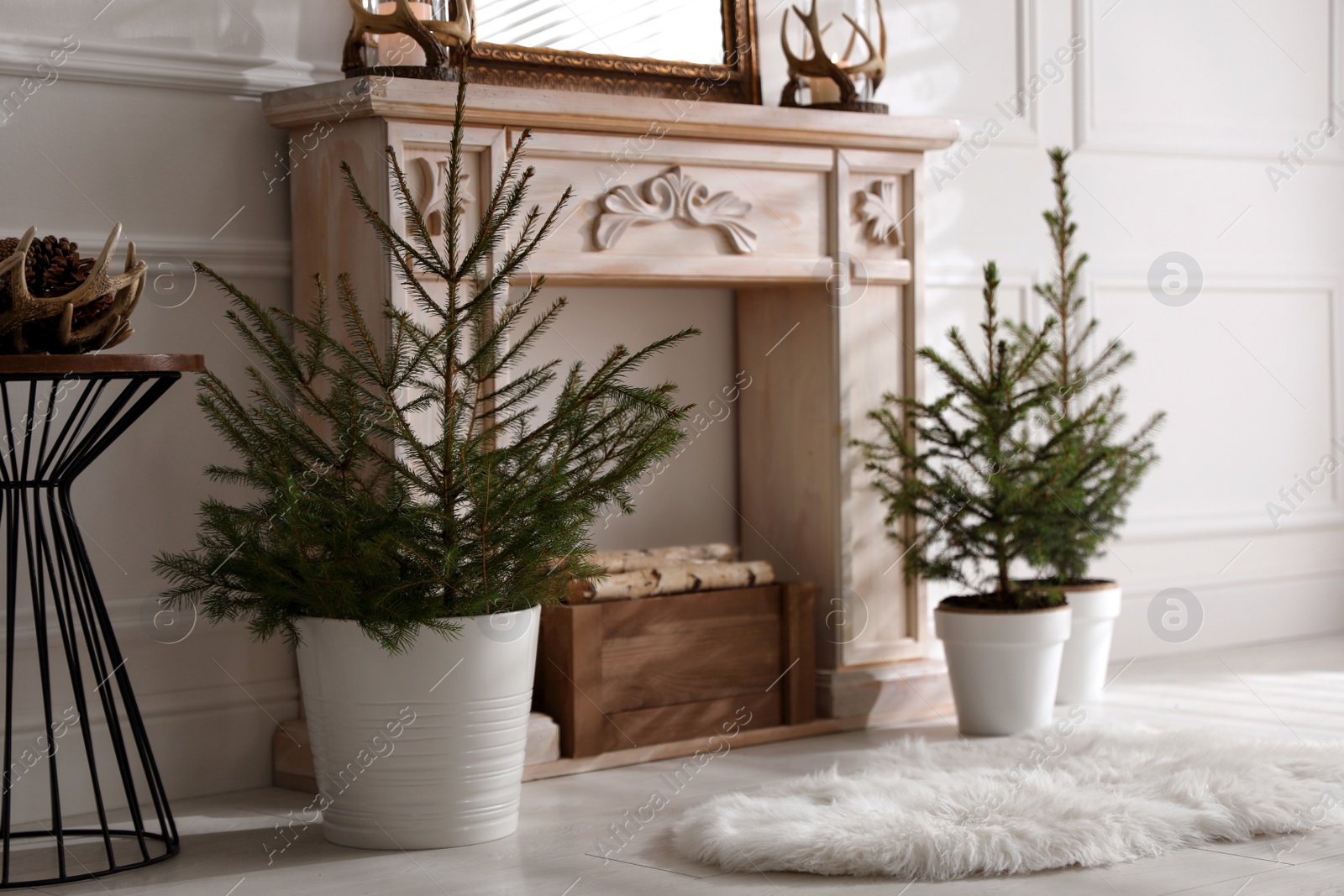 Photo of Beautiful room interior with potted fir trees and fireplace