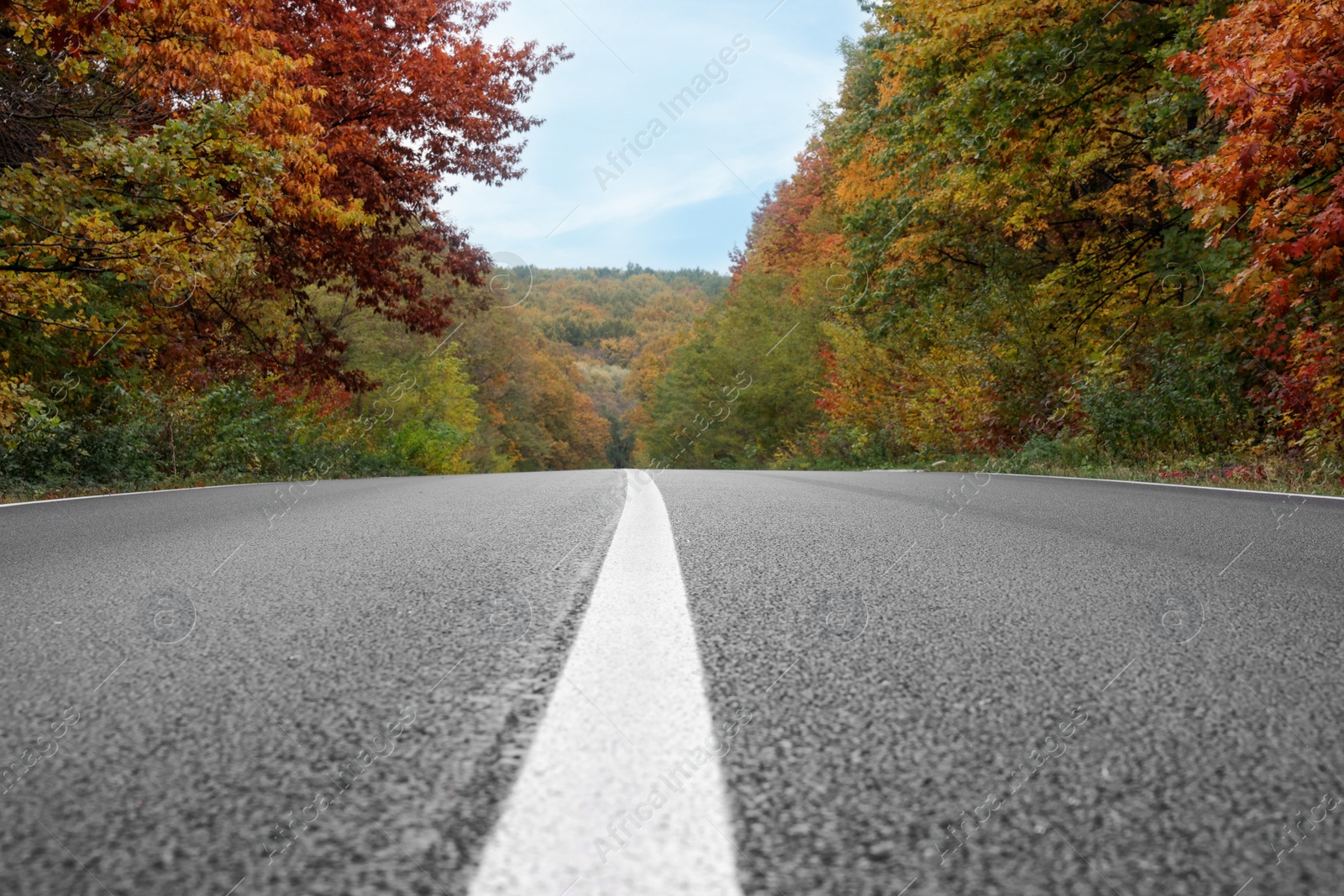 Photo of Beautiful view of asphalt highway going through autumn forest