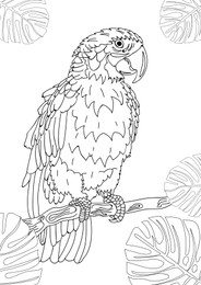 Illustration of Cute parrot and tropical leaves on white background, illustration. Coloring page 