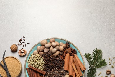 Different spices with nuts in bowls and fir branch on light gray textured table, flat lay. Space for text