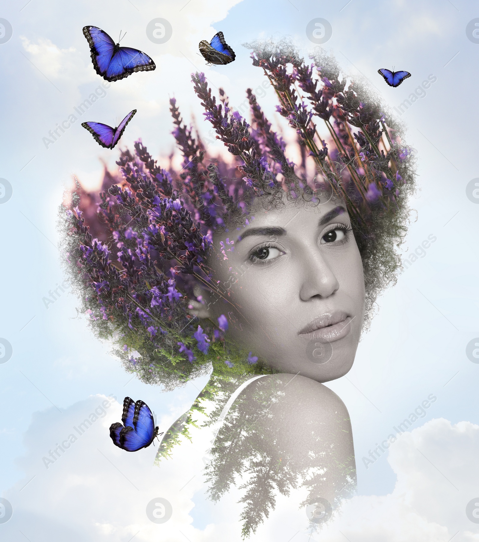 Image of Double exposure of pretty woman and lavender field against sky. Beauty of nature