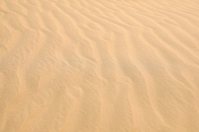 Beautiful view of rippled sandy surface in desert as background