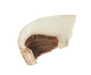 Photo of Slice of raw mushroom on white background