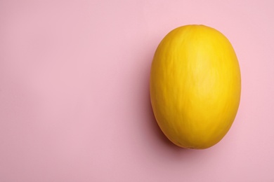 Whole ripe tasty melon on pink background, top view. Space for text