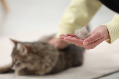Photo of Pet shedding. Woman holding pile of cat hair indoors, selective focus