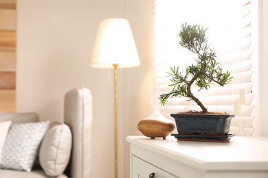 Japanese bonsai plant and oil diffuser on cabinet in living room, space for text. Creating zen atmosphere at home