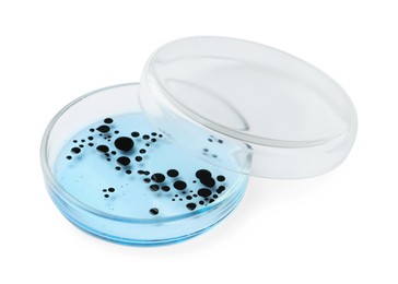 Photo of Petri dish with bacteria on white background