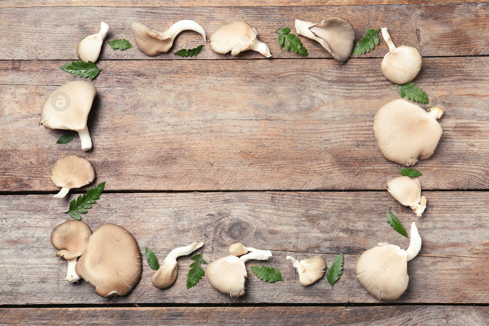 Photo of Frame made of oyster mushrooms on wooden background, flat lay with space for text