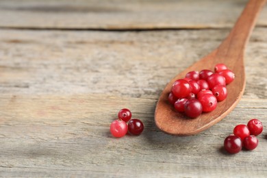 Photo of Cranberries in spoon on wooden table, closeup. Space for text