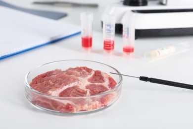 Photo of Petri dish with piece of raw cultured meat and dissecting needle on white table in laboratory