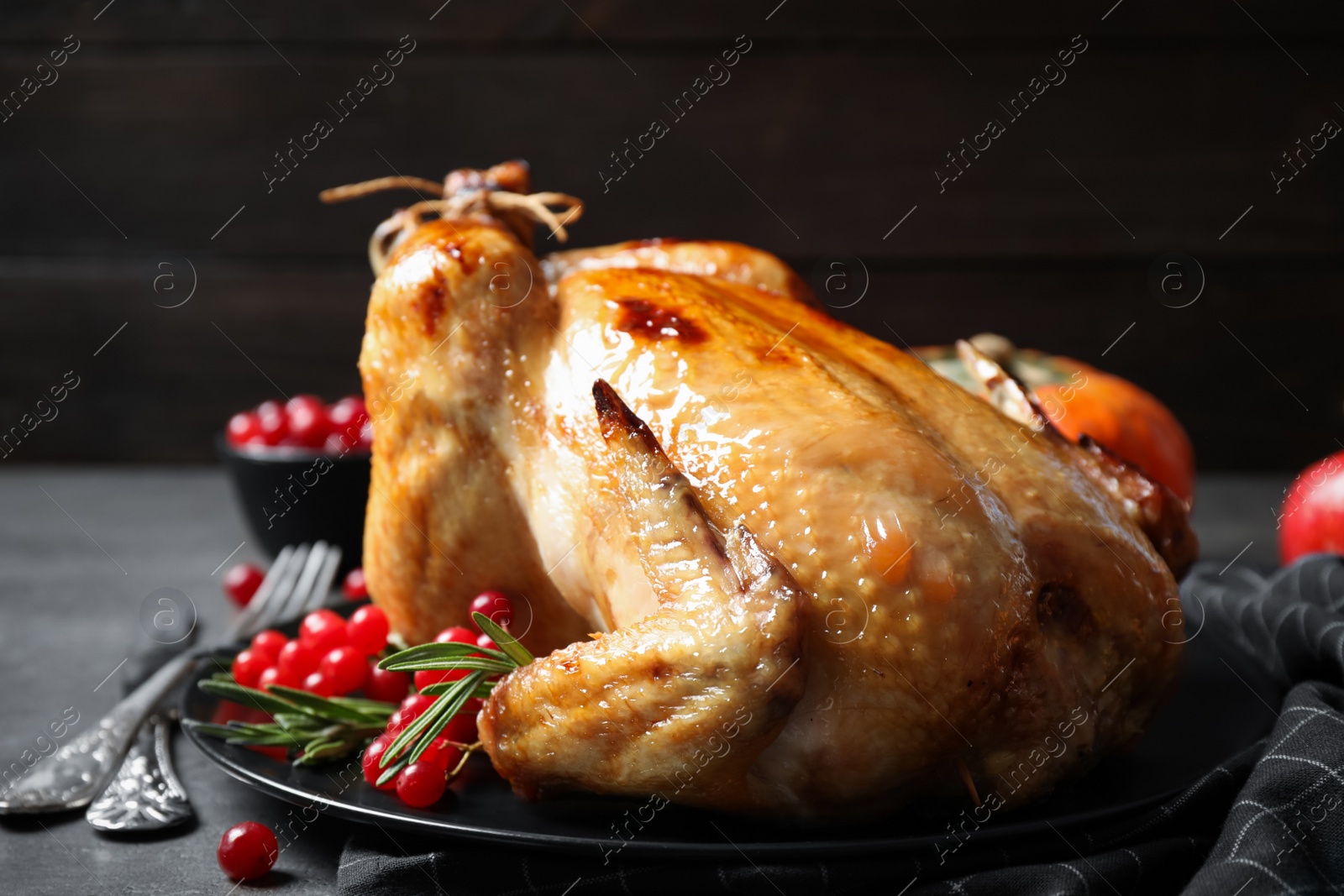 Photo of Delicious turkey and cranberry on grey background, closeup. Happy Thanksgiving day
