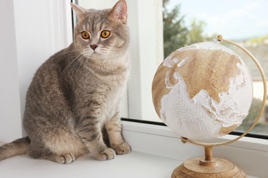Photo of Cute cat and globe on windowsill indoors. Travel with pet concept