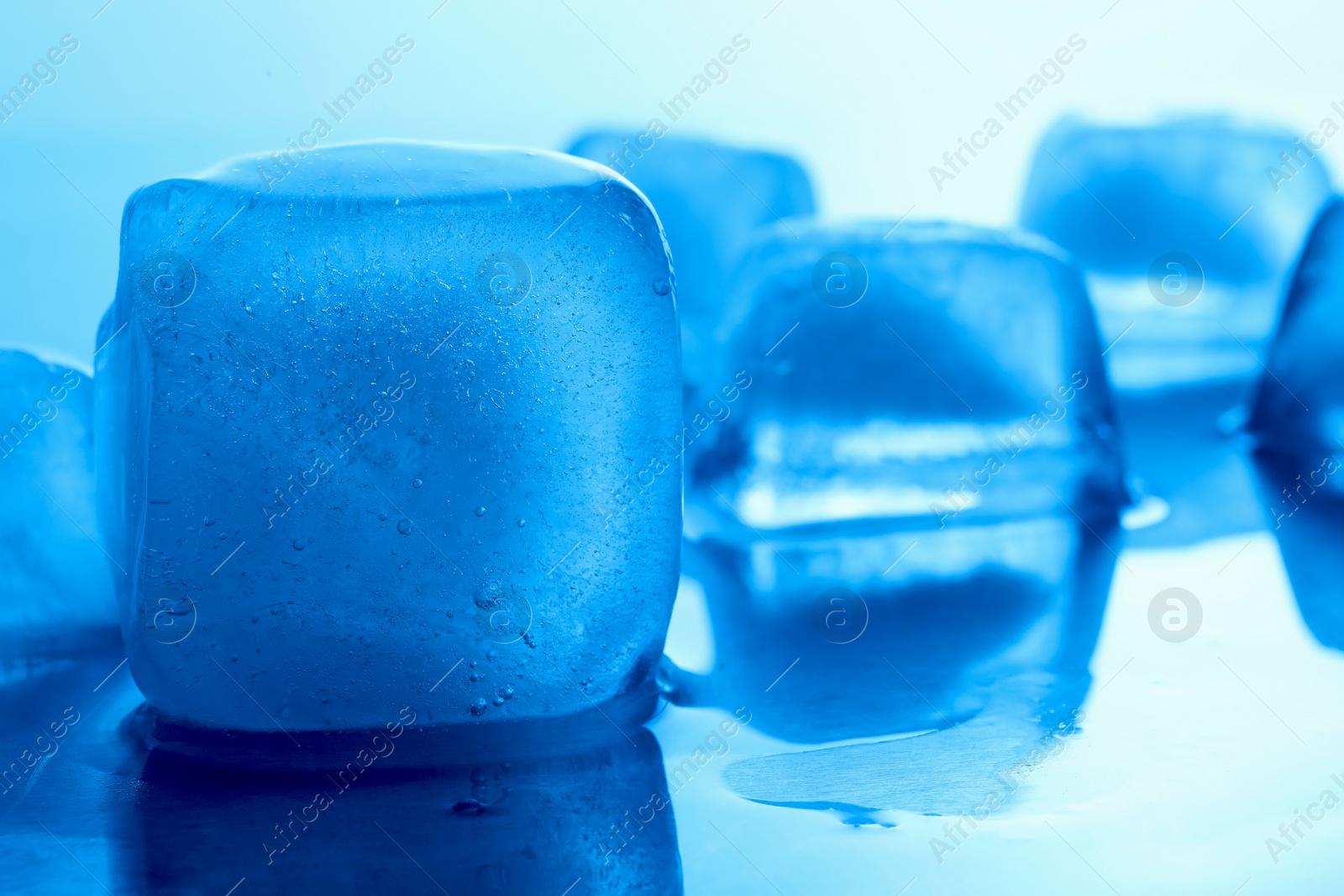 Photo of Crystal clear ice cubes on light blue background, closeup. Color tone effect