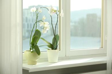 Photo of Blooming white orchid flowers in pots on windowsill, space for text