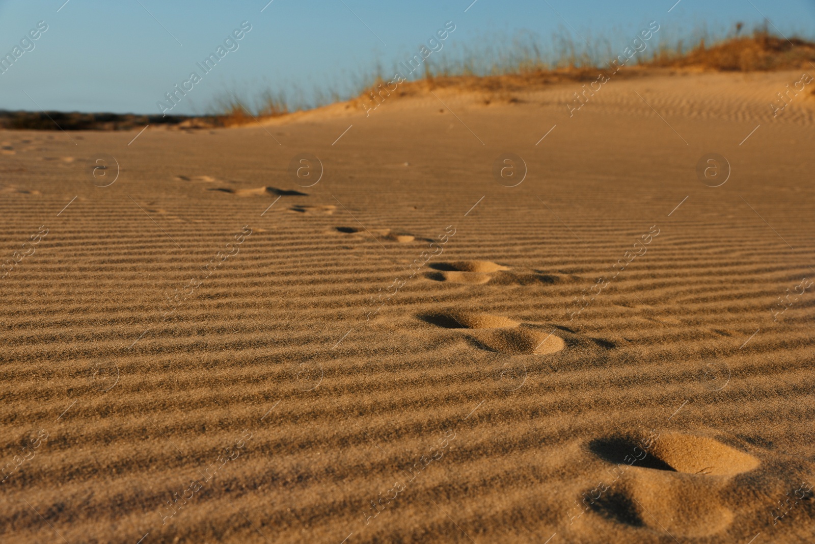 Photo of Trail of footprints on sand in desert