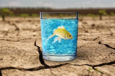 Image of Save environment. Glass of water with goldfish on dry cracked land, closeup