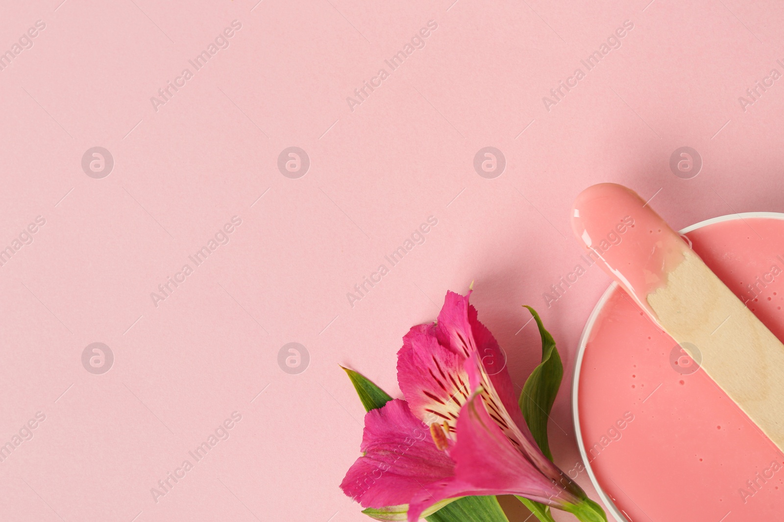 Photo of Wooden spatula, hot depilatory wax and flower on light pink background, flat lay. Space for text