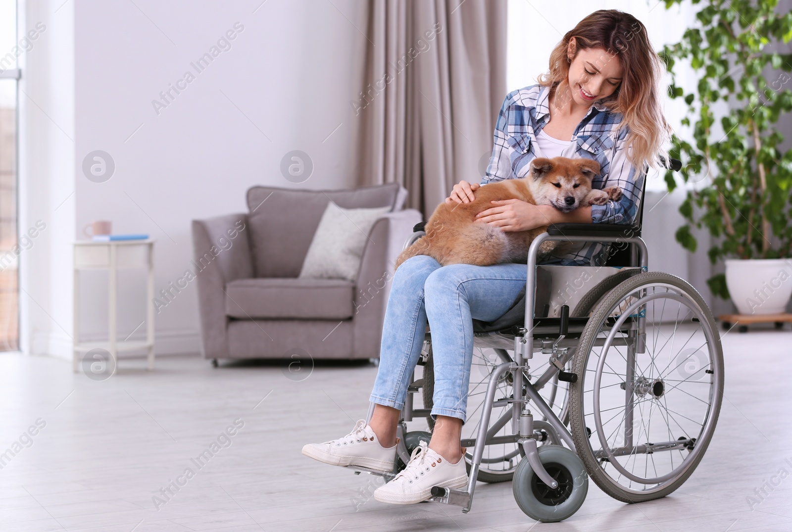 Photo of Young woman in wheelchair with puppy at home