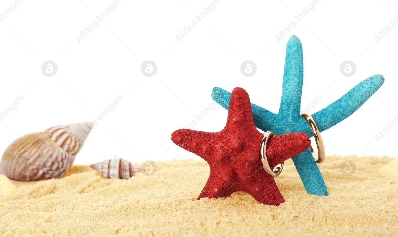 Photo of Honeymoon concept. Two golden rings, sea stars, seashells and sand isolated on white