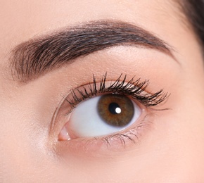 Photo of Beautiful woman with perfect eyebrow, closeup