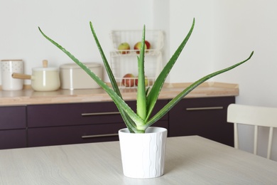 Potted aloe vera plant on table in kitchen