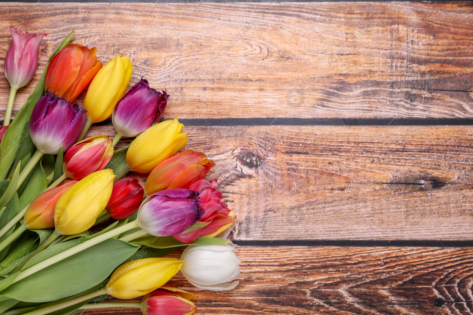 Photo of Beautiful colorful tulip flowers on wooden table, flat lay. Space for text