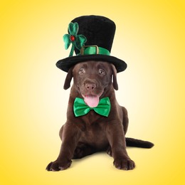 St. Patrick's day celebration. Cute Chocolate Labrador puppy with leprechaun hat and green bow tie on yellow background