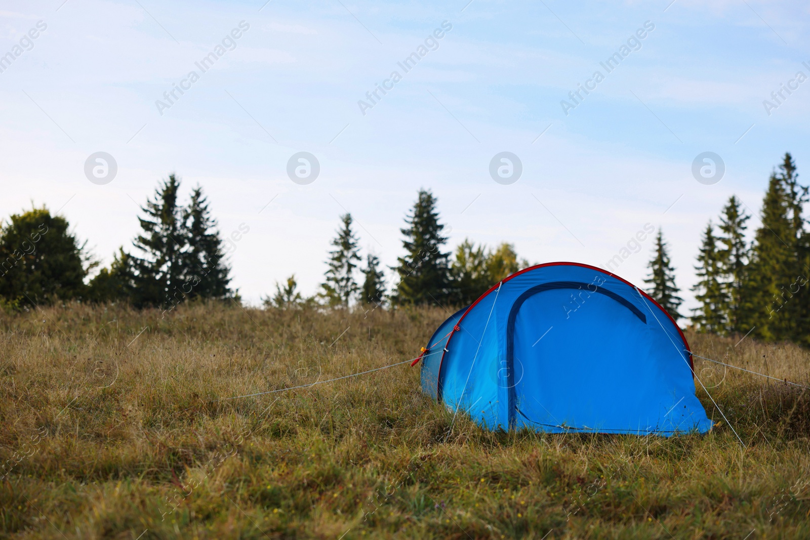 Photo of Blue camping tent on green grass near forest, space for text