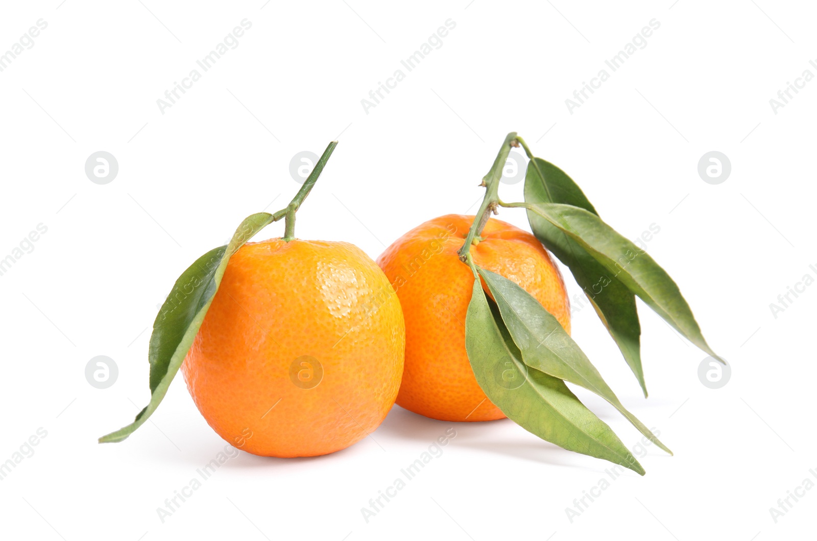 Photo of Tasty ripe tangerines with leaves on white background