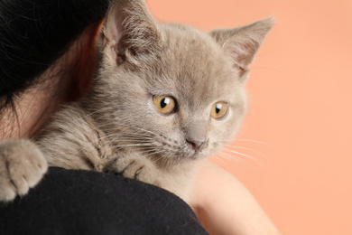 Photo of Girl holding Scottish straight baby cat on pale pink background, closeup