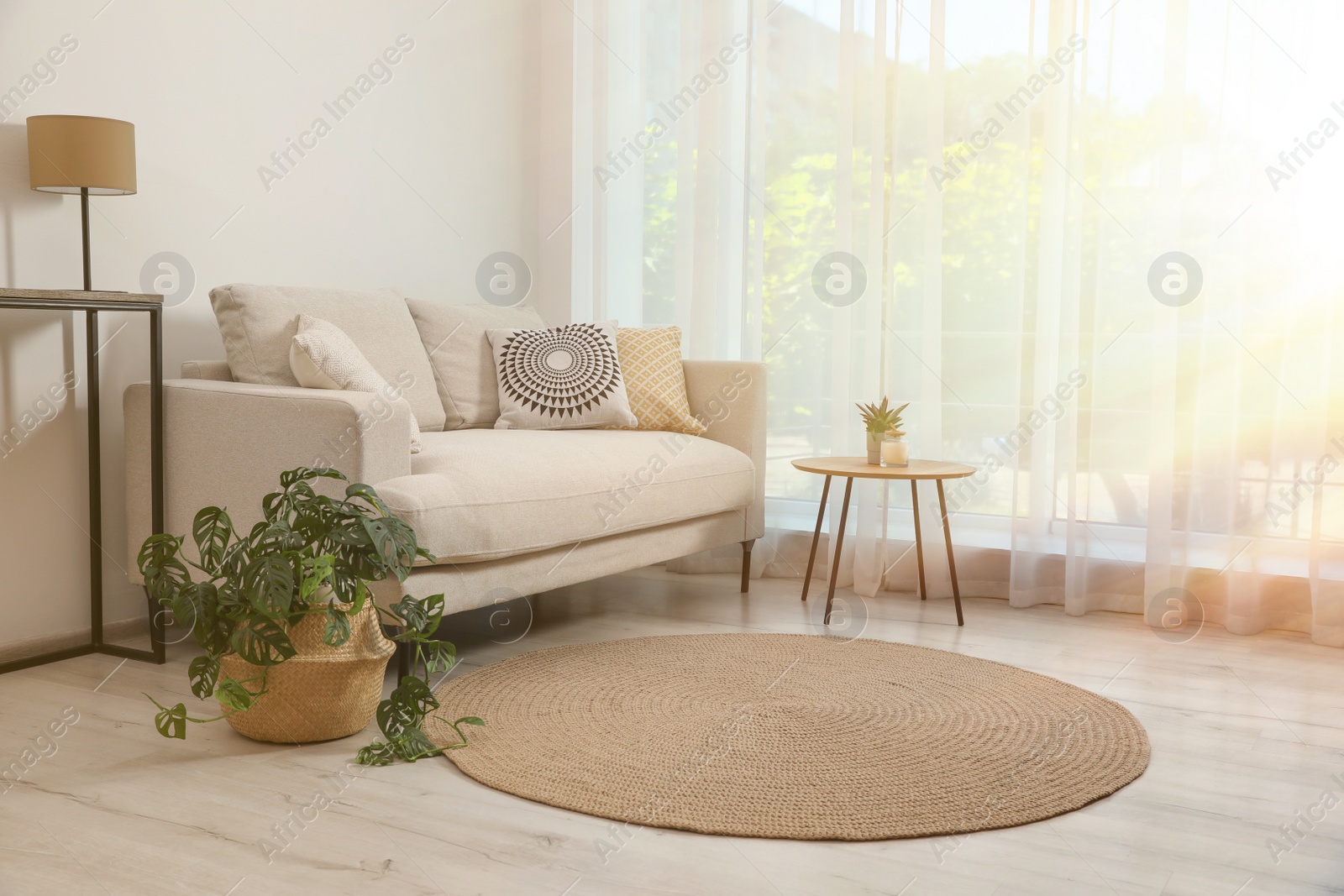 Image of Beautiful sunlit living room with stylish sofa