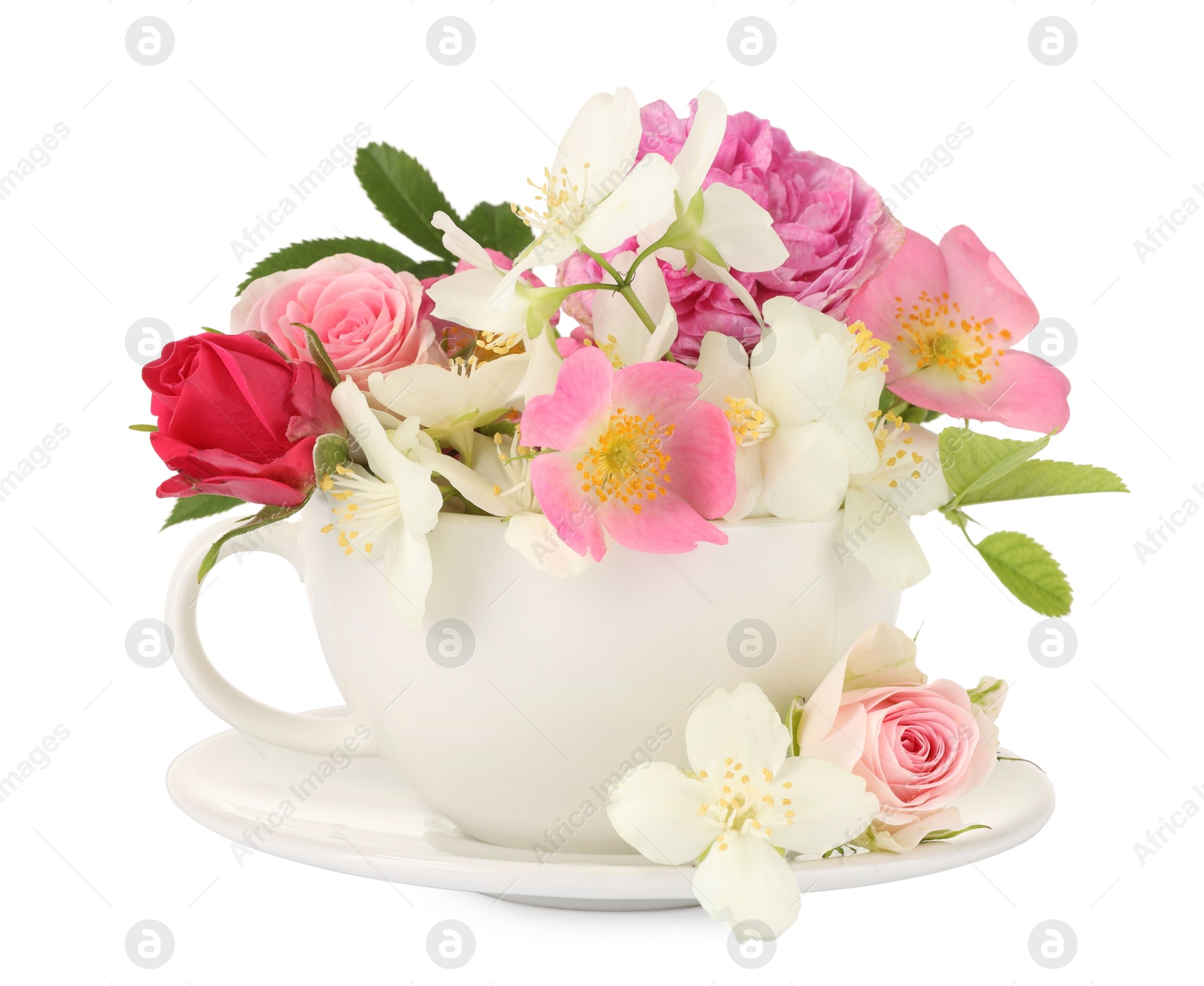 Photo of Aromatic herbal tea in cup with different flowers isolated on white