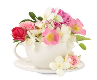 Photo of Aromatic herbal tea in cup with different flowers isolated on white