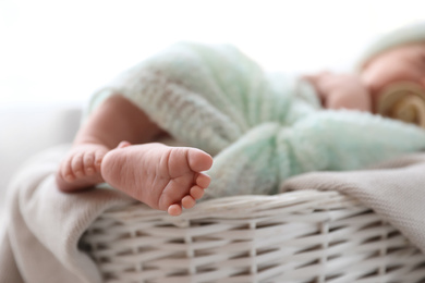 Photo of Newborn baby lying on plaid in basket, closeup of legs