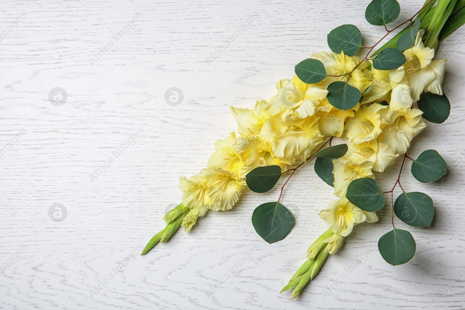 Photo of Beautiful gladiolus flowers on light wooden background