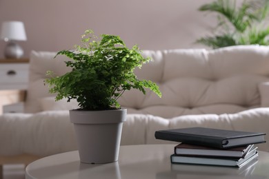 Beautiful potted fern and books on table in living room